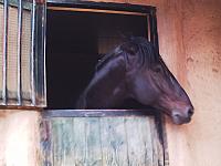 phto0150.jpg