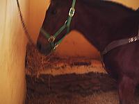 phto0155.jpg