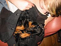 IMG_6155.JPG
