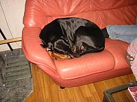 IMG_6156.JPG