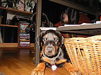 IMG_6159.JPG