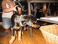 IMG_6160.JPG