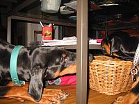 IMG_6162.JPG