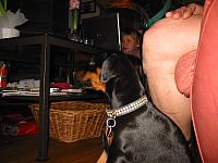 IMG_6164.JPG