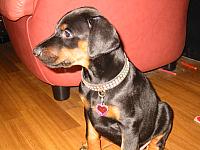 IMG_6168.JPG