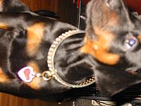 IMG_6171.JPG