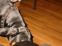 IMG_6172.JPG