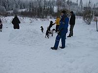 IMG_6214