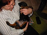img_6146.jpg