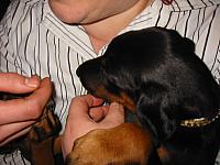 img_6147.jpg