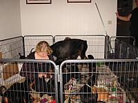 img_6149.jpg