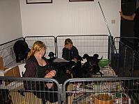 img_6150.jpg