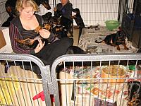 img_6151.jpg