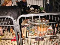 img_6152.jpg