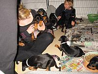 img_6153.jpg