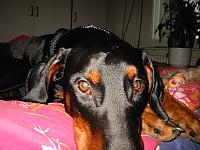 IMG_5068