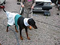 IMG_5329.JPG