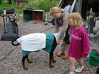 IMG_5330.JPG
