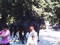 phto0136.jpg