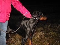 IMG_5583