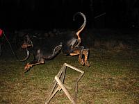 IMG_5595