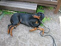 img_6046.jpg