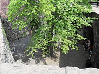 sdc10025.jpg