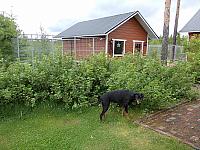 DSCN0264