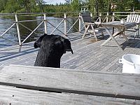 DSCN0299