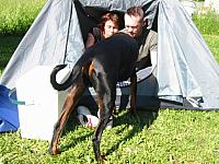 IMG_5278
