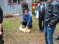img_5753
