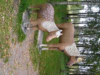 p1010003.jpg