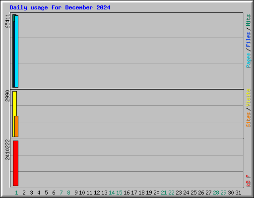 Daily usage for December 2024