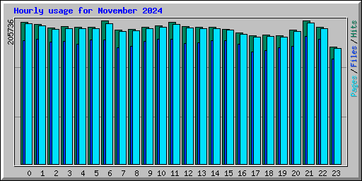 Hourly usage for November 2024