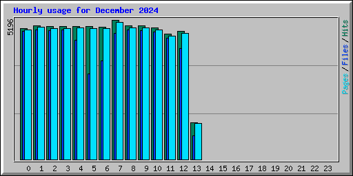 Hourly usage for December 2024