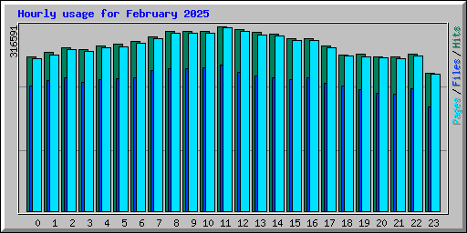 Hourly usage for February 2025