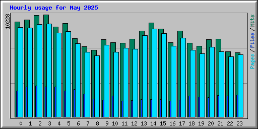 Hourly usage for May 2025