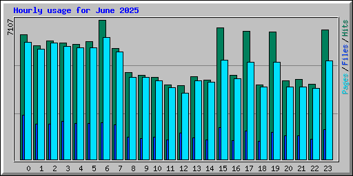 Hourly usage for June 2025