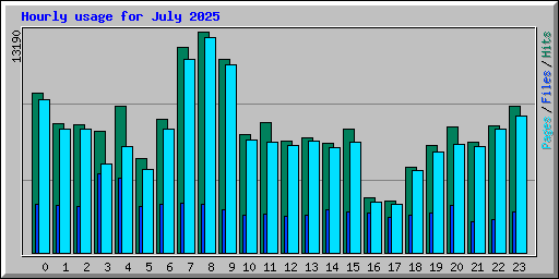 Hourly usage for July 2025