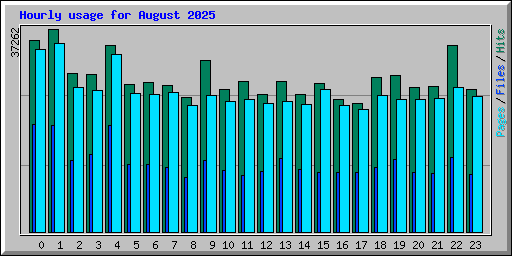 Hourly usage for August 2025