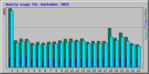 Hourly usage for September 2025
