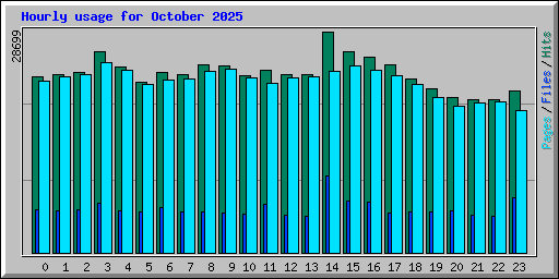 Hourly usage for October 2025