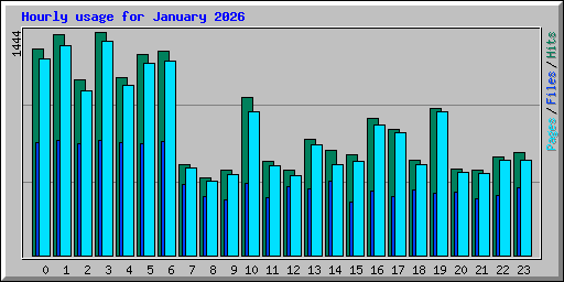 Hourly usage for January 2026