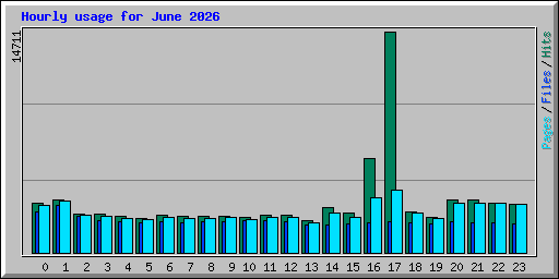 Hourly usage for June 2026