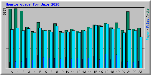 Hourly usage for July 2026