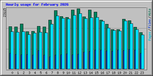 Hourly usage for February 2026